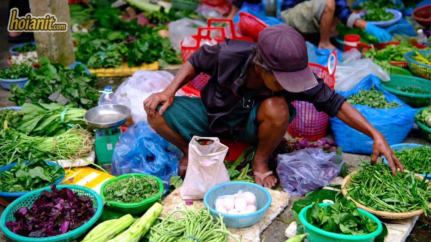 chợ cá Thanh Hà Hội An