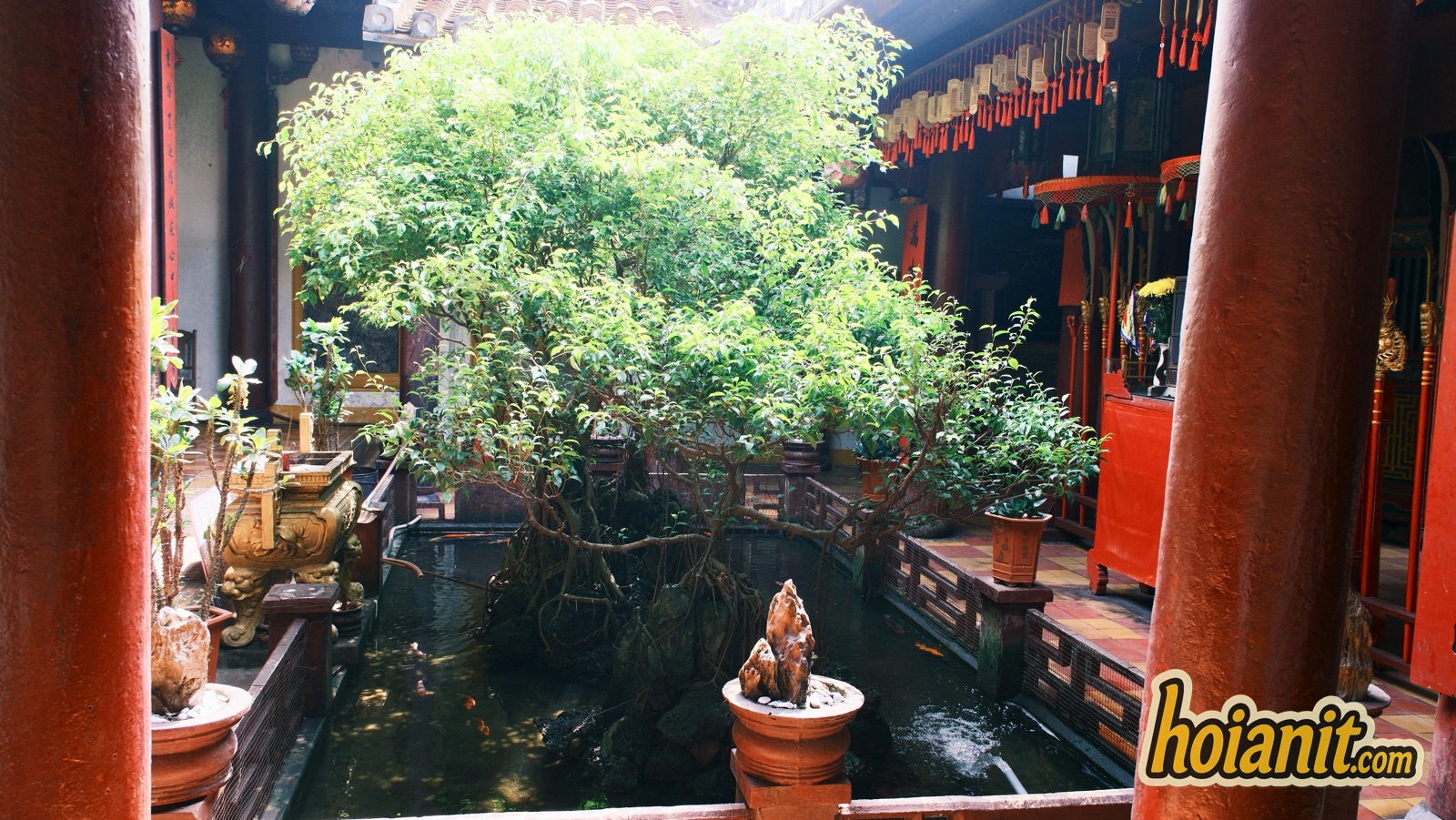chua ong11 Sân trong chùa Ông Hội An với cây xanh giữa hàng cột đỏ