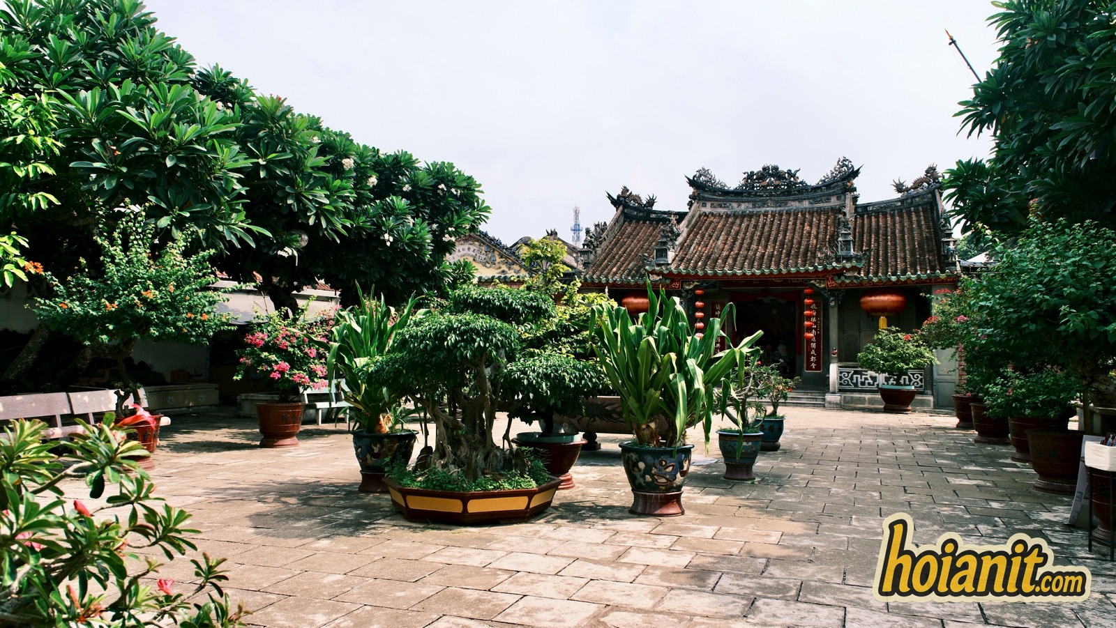 chua phuc kien21 Garden courtyard of the Fukien Assembly Hall Hoi An