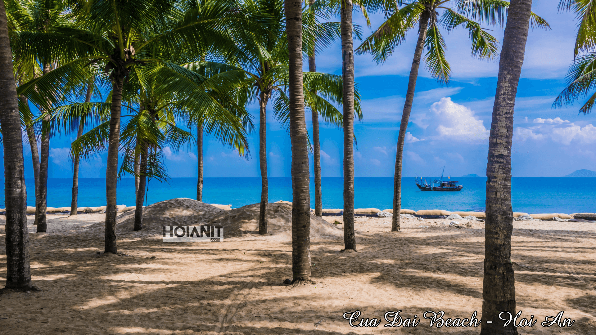 Fishing boats and palm trees at Cua Dai beach, the last stop on the ride to get to Cham Islands from Hoi An