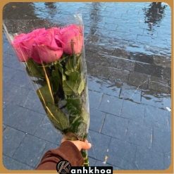 rose bouquet with pink colour in da nang flower shop