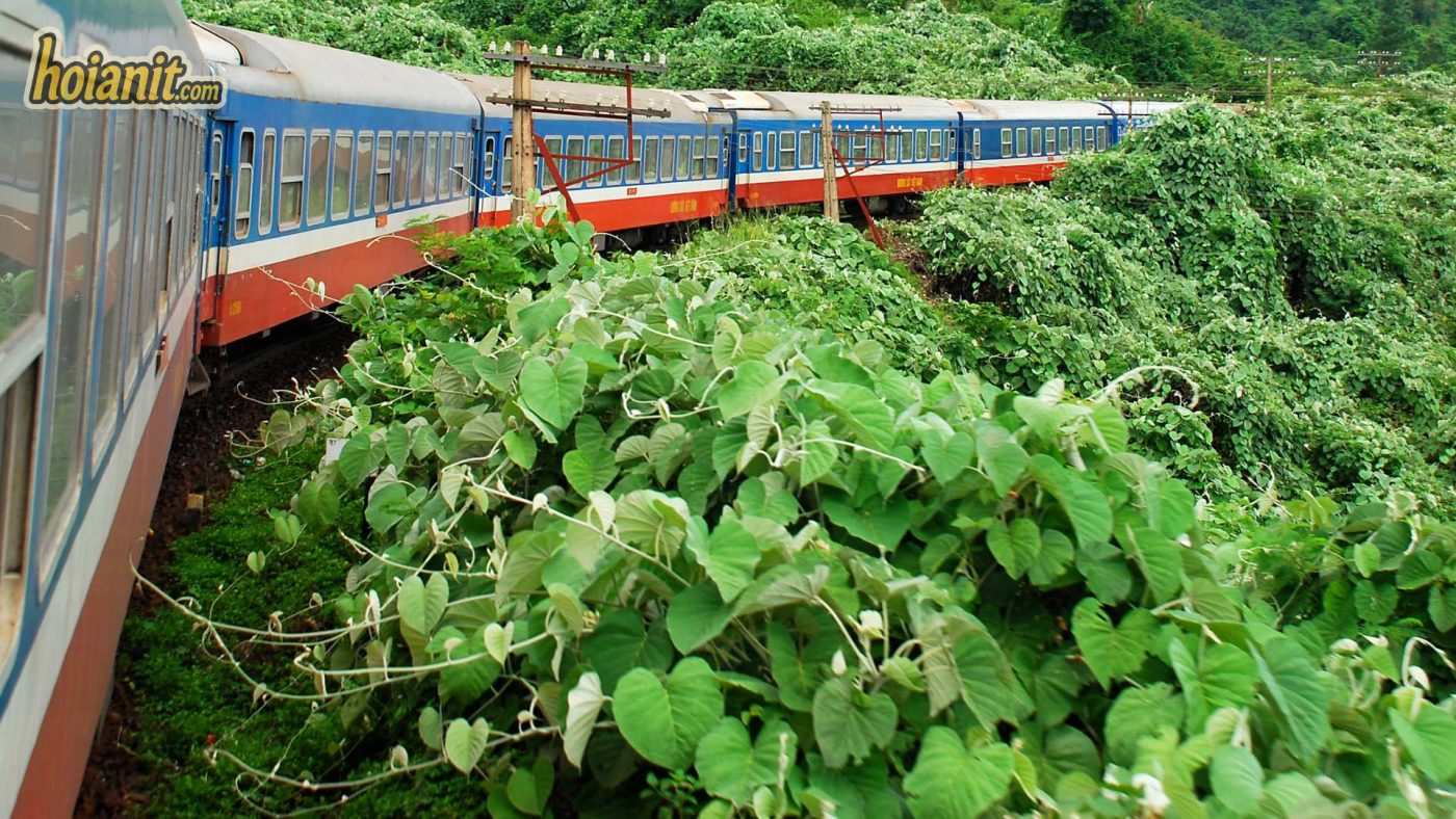 du lịch Ga Đà Nẵng từ Ga Hà Nội
