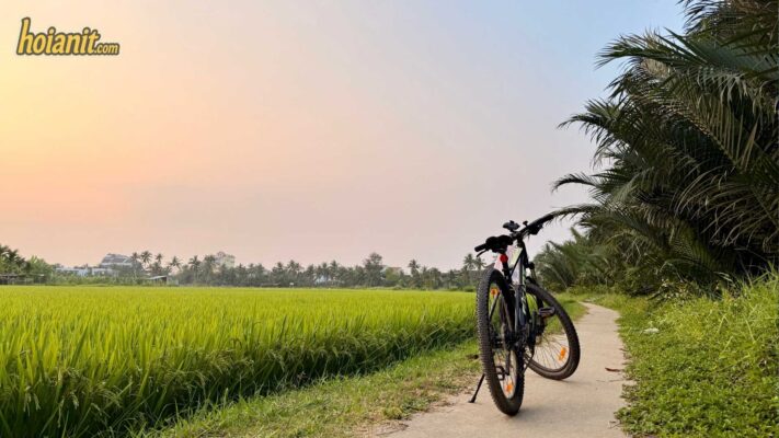 mountain bicycle rice field sunset Hoi An