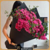 big roses bouquet in hoi an da nang flower shop