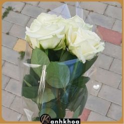 white roses in da nang flower shop