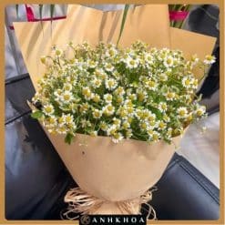 Tana daisy in da nang flower shop