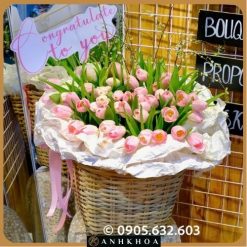 pink tulips in hoi an da nang flower shop