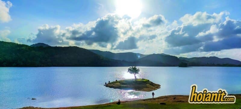 Lone tree on a small island at Phu Ninh Lake with forested hills behind