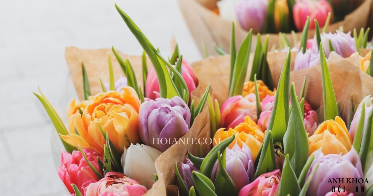 Đặt hoa khai trương tại Hội An, tạo dấu ấn mạnh mẽ cho buổi lễ khai trương!