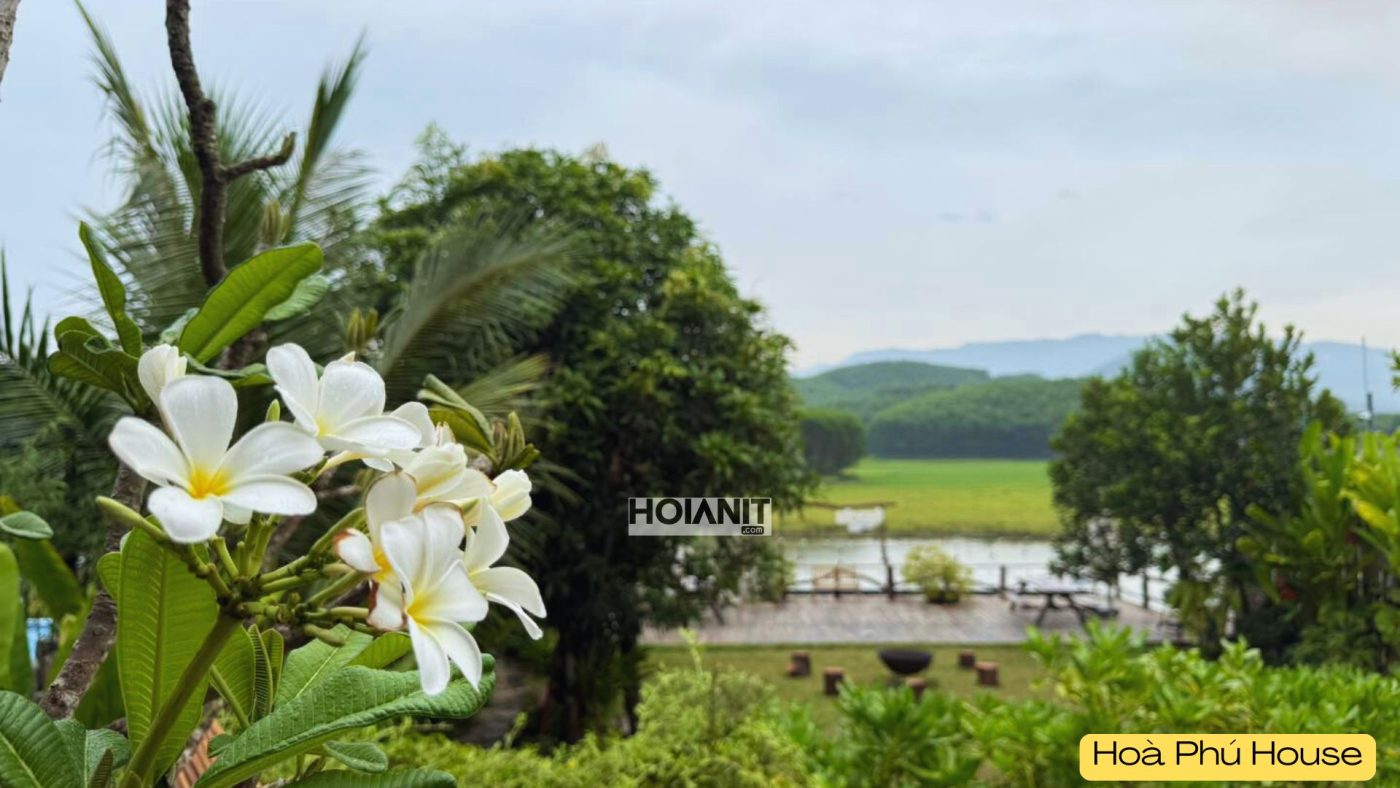 hoa phu house 3 Sân vườn và khu BBQ rộng rãi tại villa Hòa Phú House cho tiệc nhóm bạn và gia đình