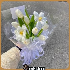 bó hoa tulip trắng hội an