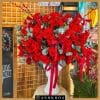 hoa tuoi hoi an 1 32 chậu hoa hồng đỏ chúc tết tại hoa tươi hội an