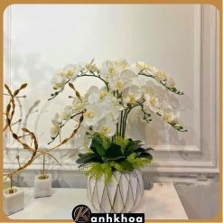 lan hồ điệp trắng để bàn hội an