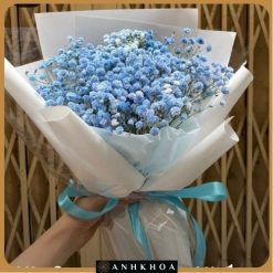 bó hoa bi xanh hội an