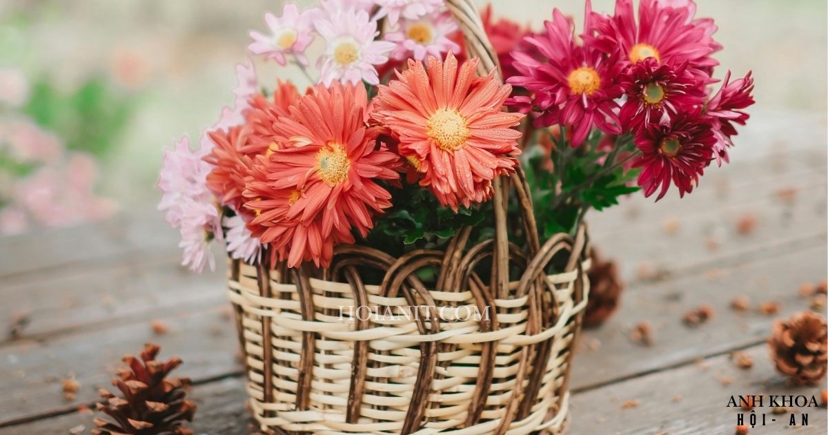 Hoa giỏ nghệ thuật, tôn lên vẻ đẹp không gian bàn làm việc – Anh Khoa Flower