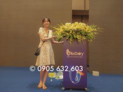 Hoa Hội Nghị - Trang Trí Đám Tiệc