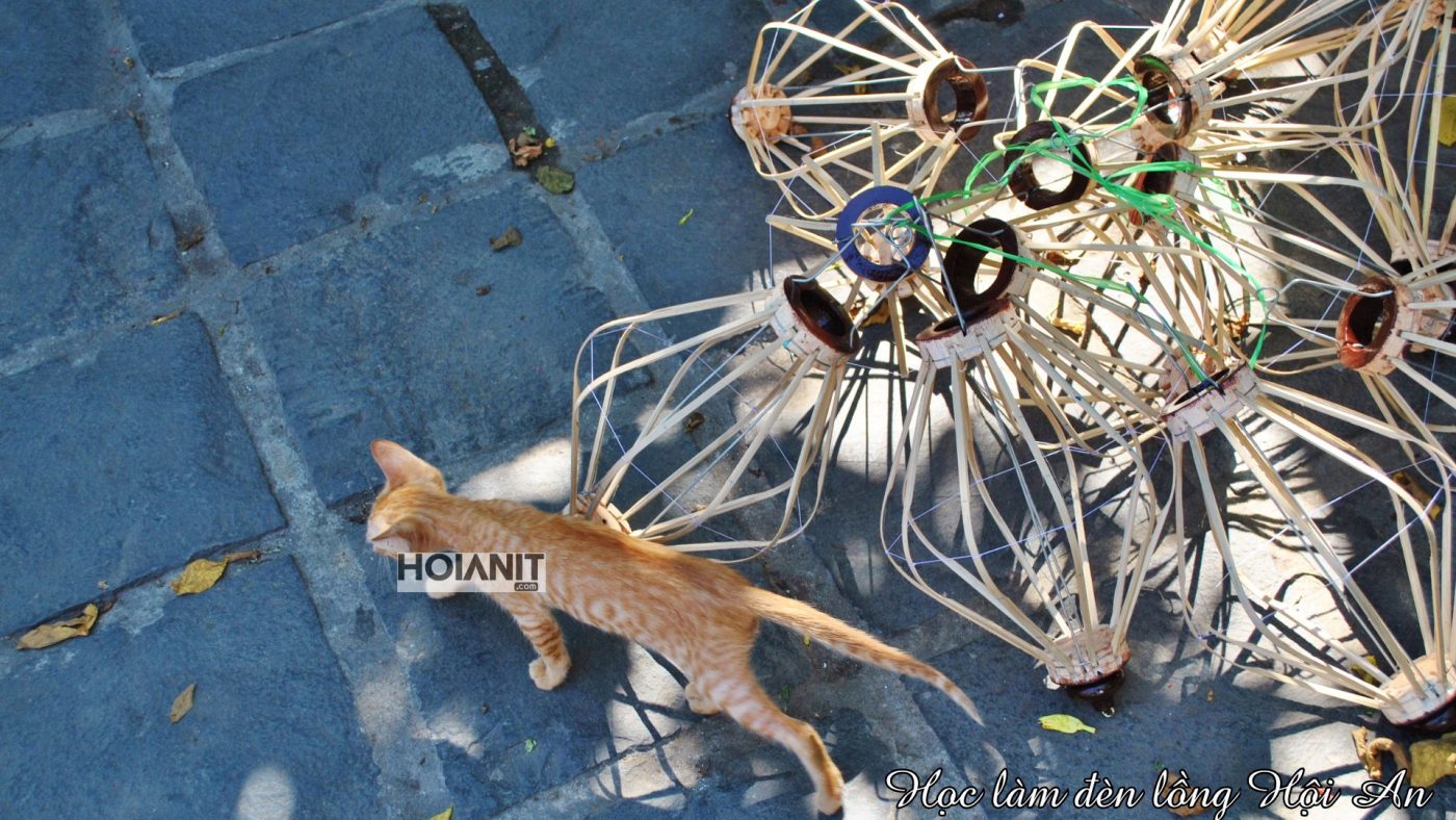 phố đèn lồng Nguyễn Phúc Chu Hội An