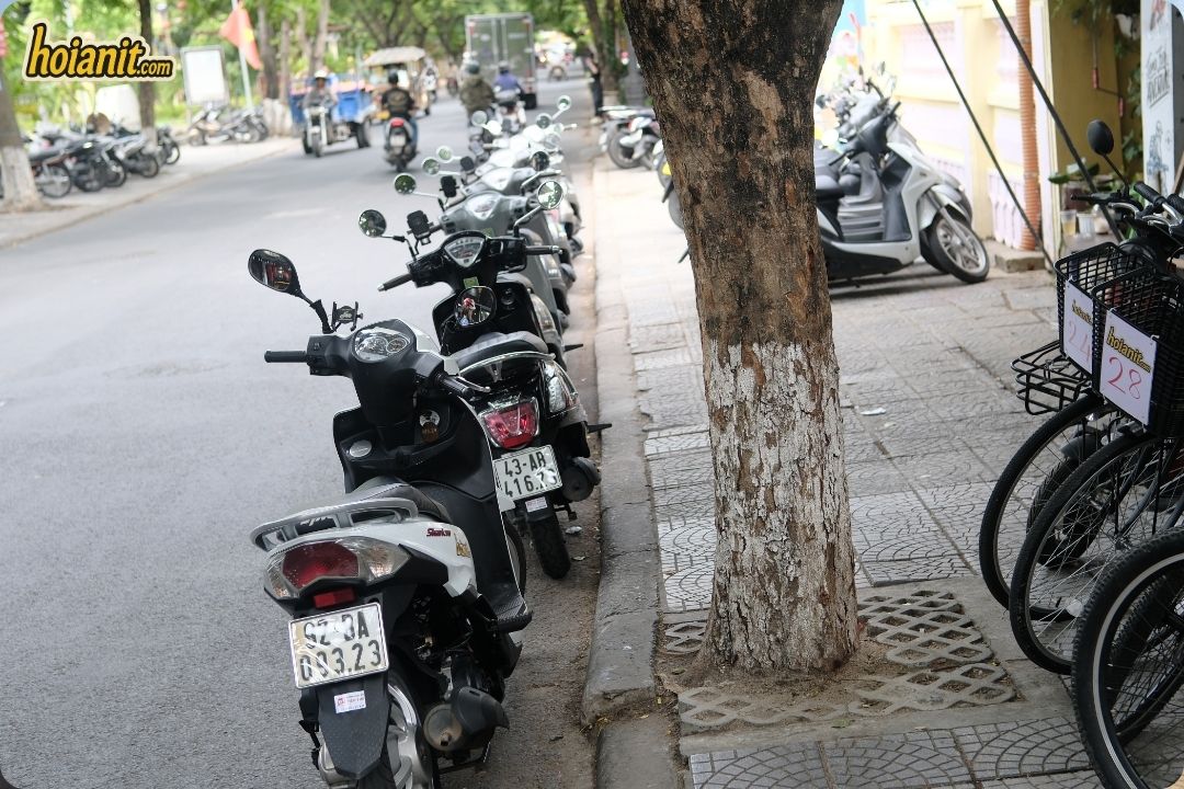 hoi an bike rental108 Aparcamiento de scooters en Hoi An — SYM Shark 50cc aparcada junto a la acera