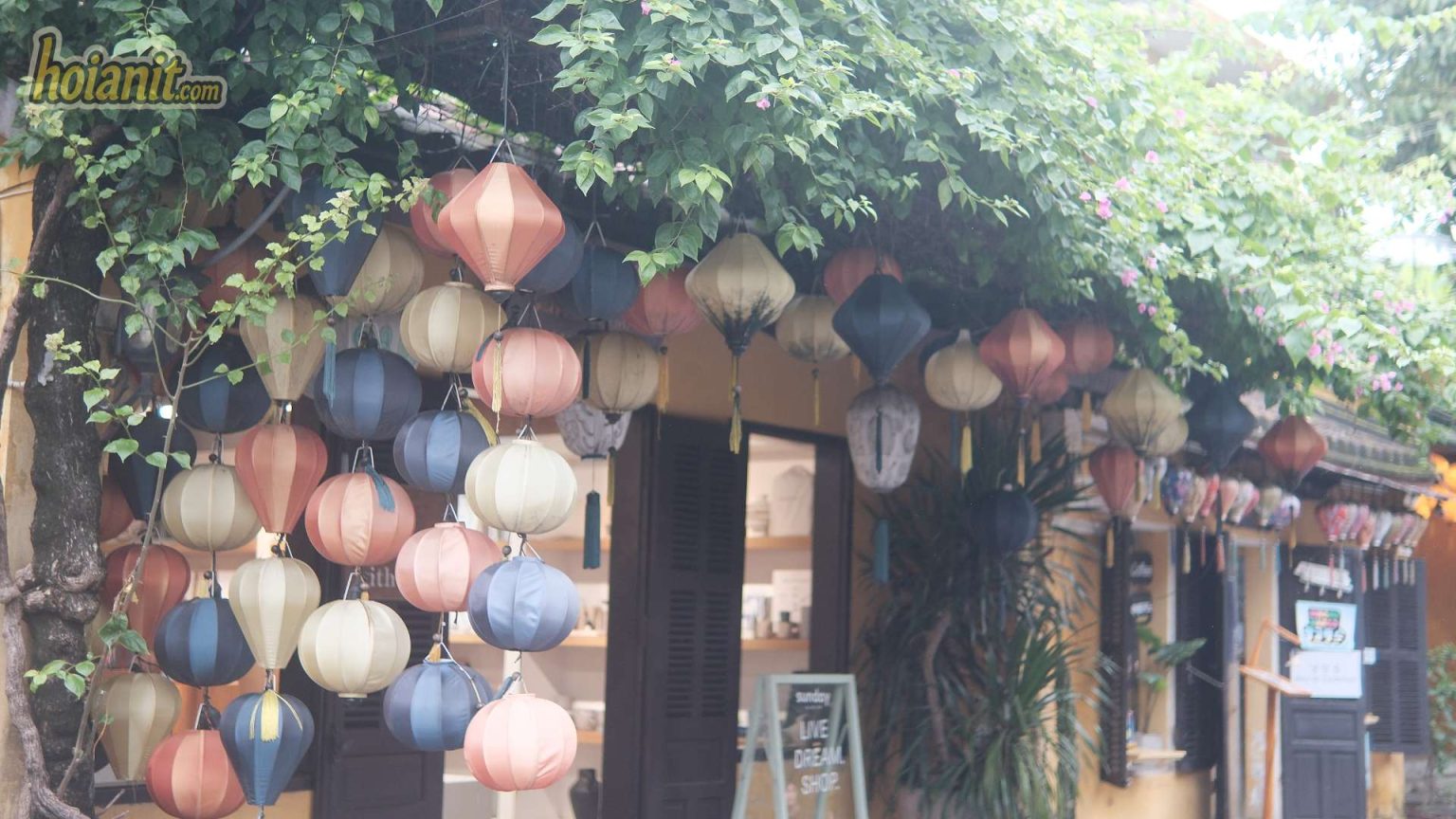 Hoi An Lantern Street Magical Night Guide 2026 hoi-an-lantern-street-magical-night-guide-2026