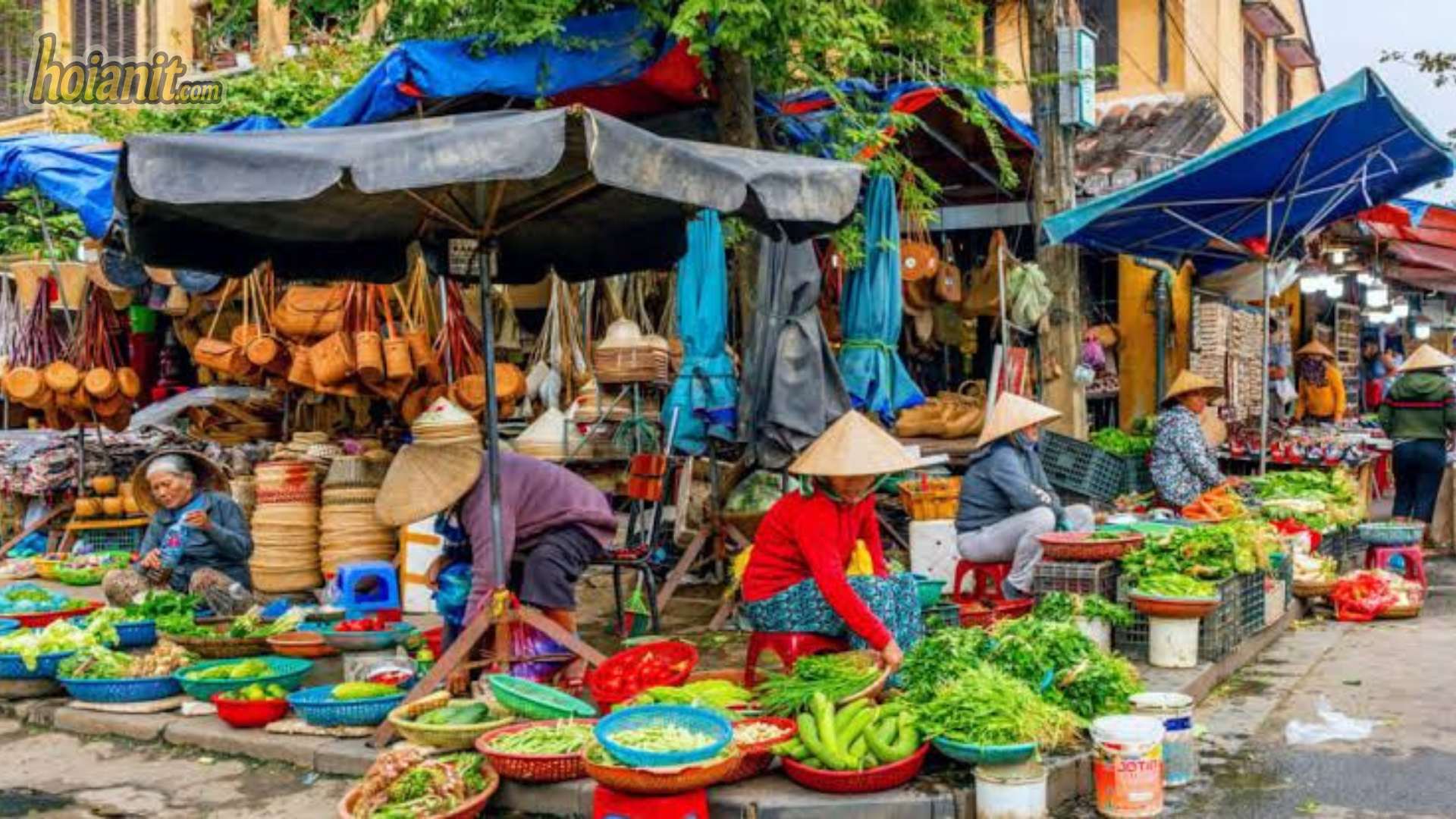 Dãy hàng rau ngoài trời với người bán đội nón lá
