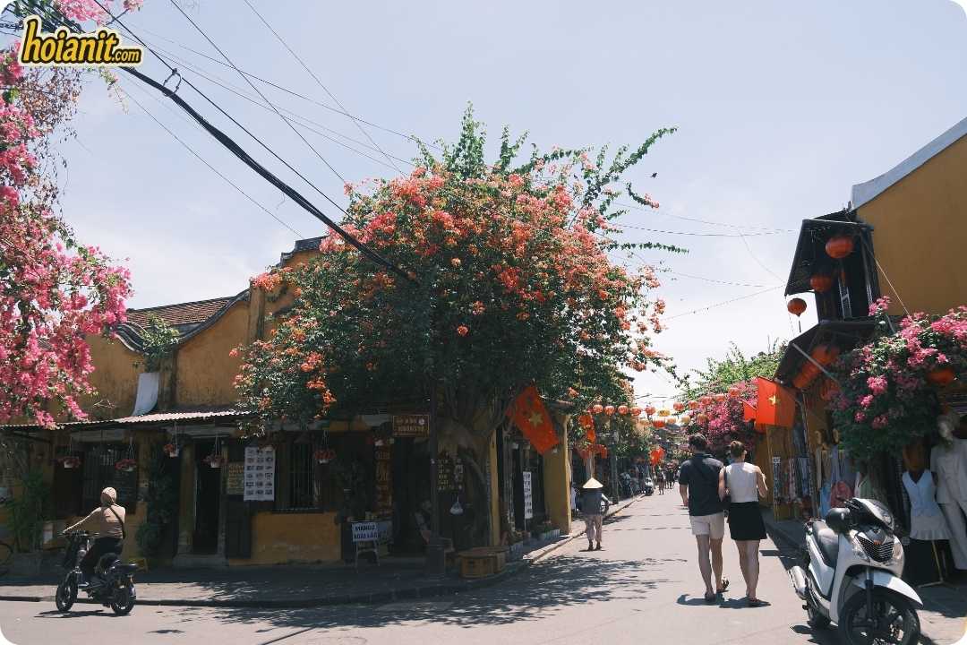 hoi an old town3 Hoi An Old Town