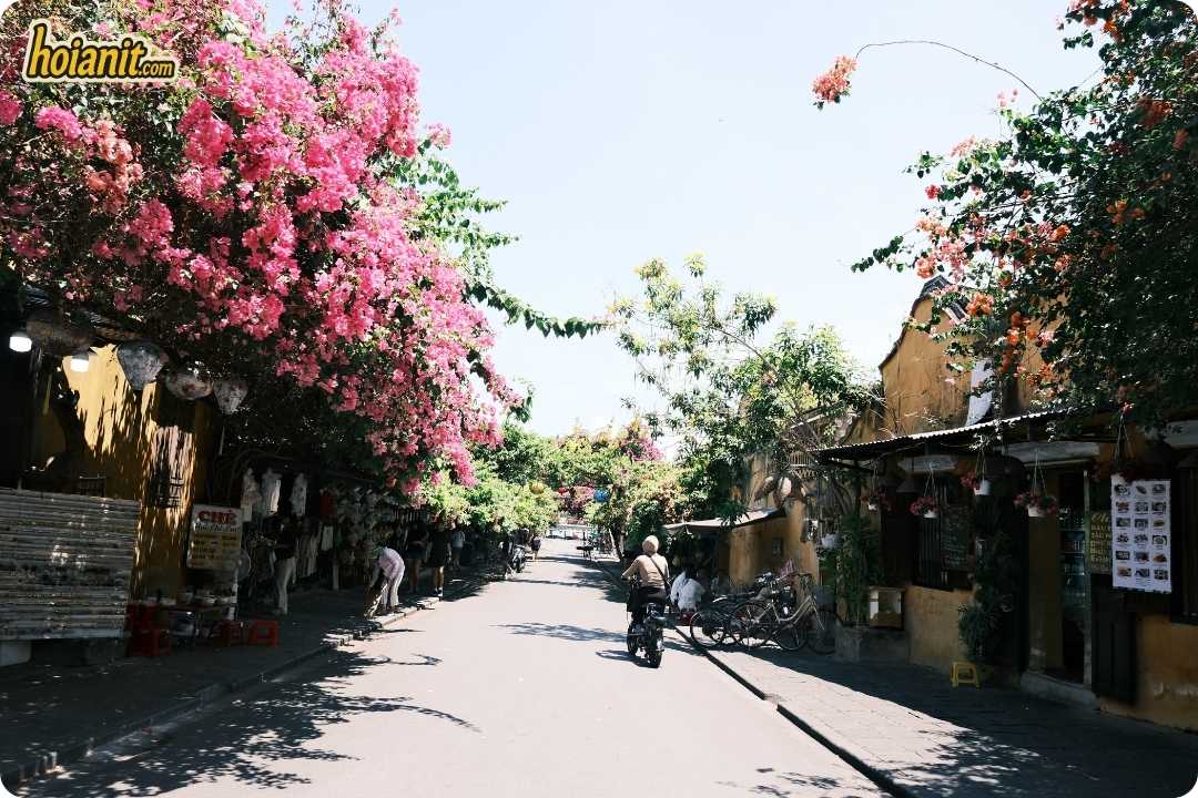 hoi an old town4 Hoi An Old Town