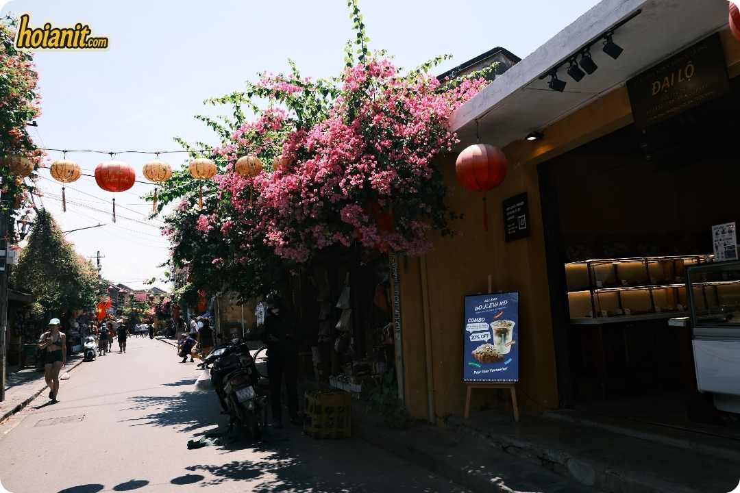 hoi an old town5 Hoi An Old Town