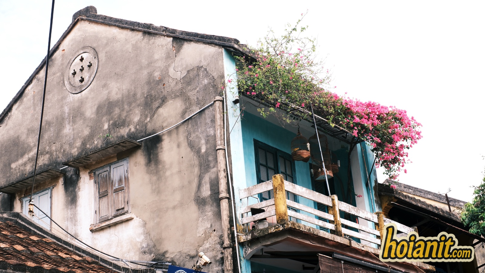 hoi an3 Góc nhà cổ Hội An tường rêu với giàn hoa giấy giữa trưa vắng