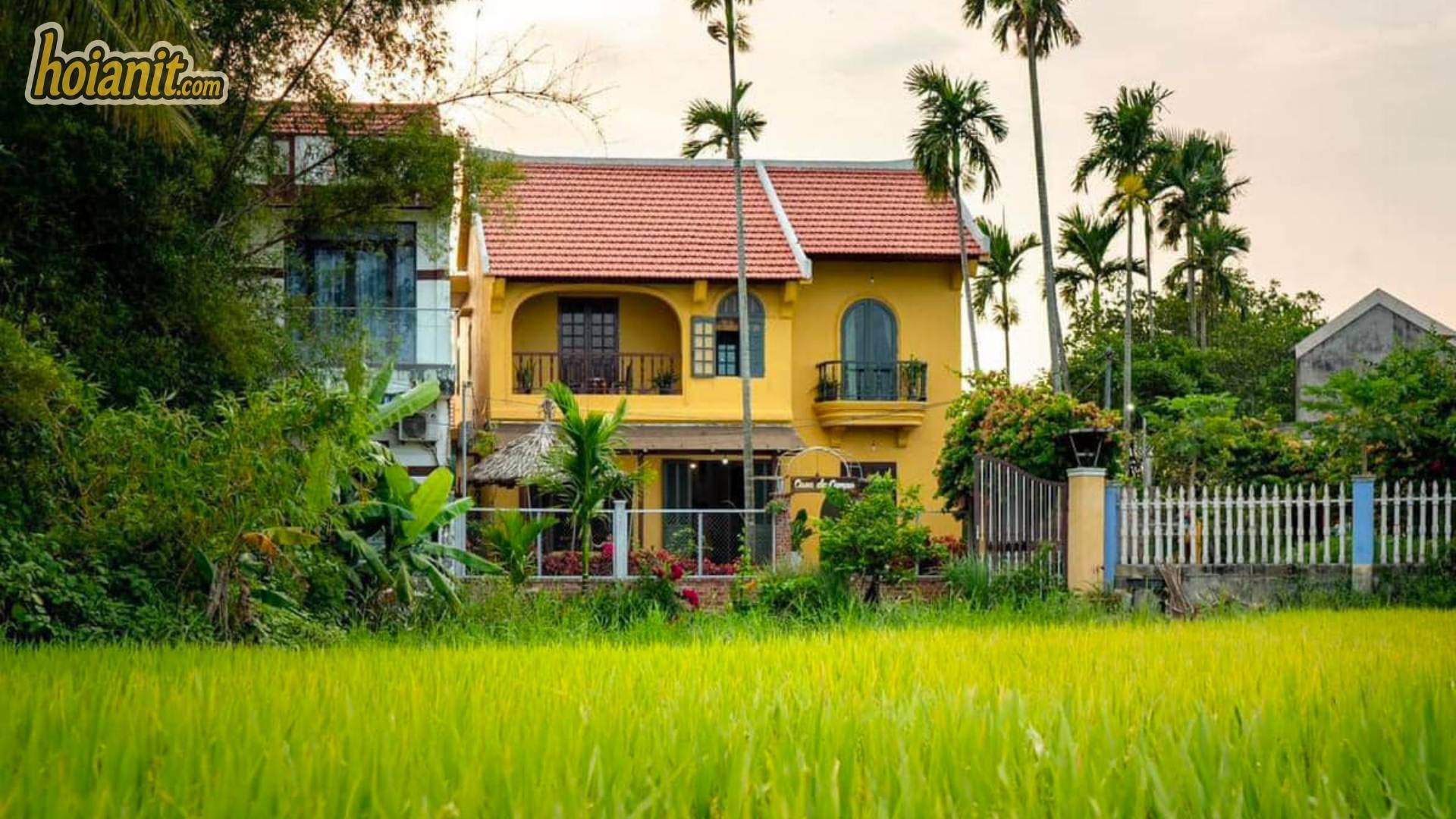 House beside rice fields on the outskirts of Hoi An
