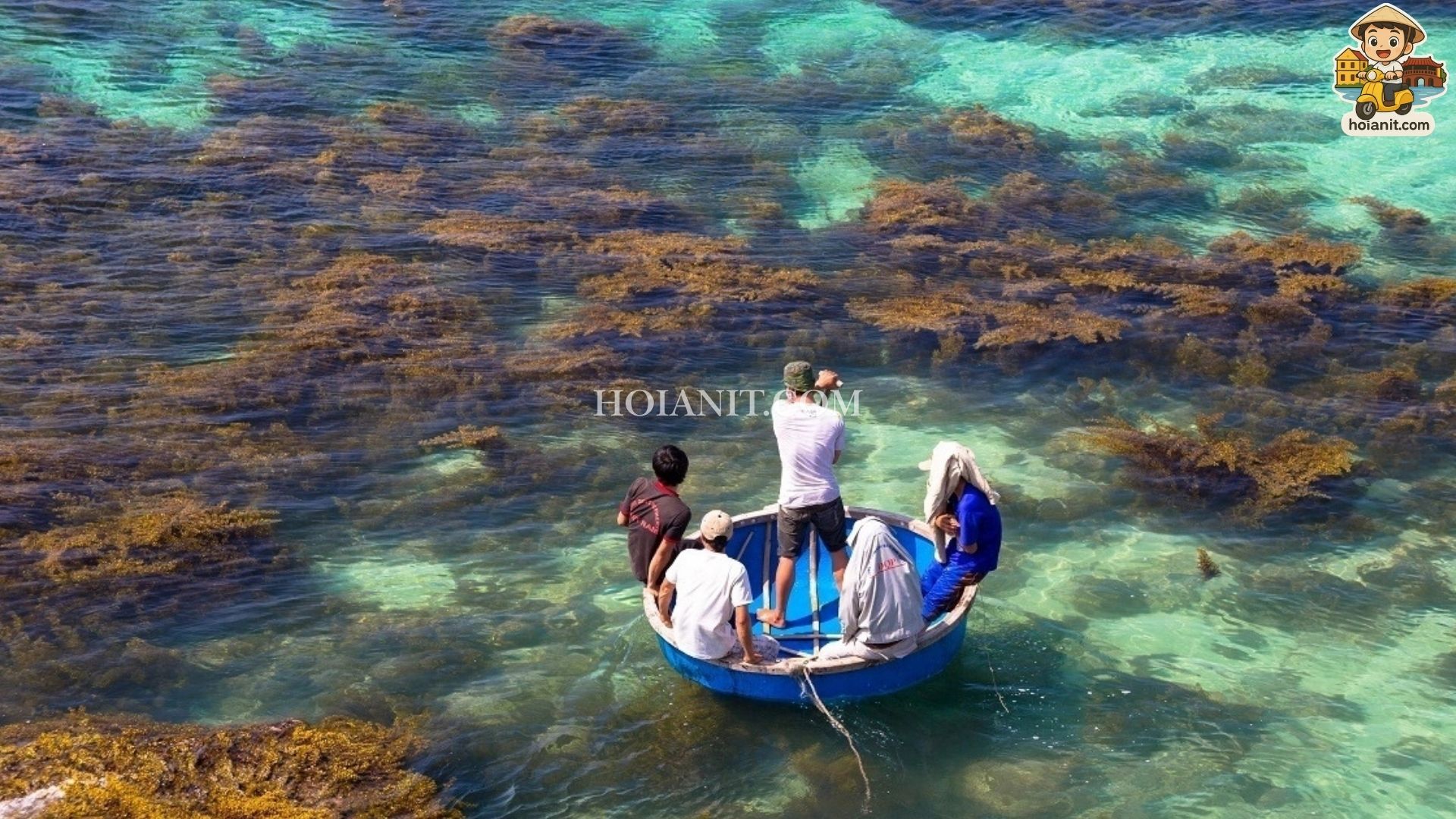 Garlic harvest on Ly Son Island