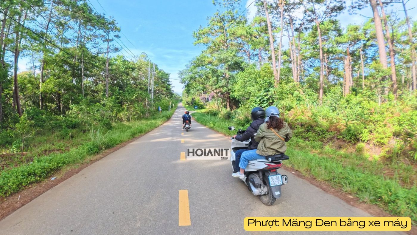 Check-in rừng thông xanh mát ở Măng Đen Kon Tum