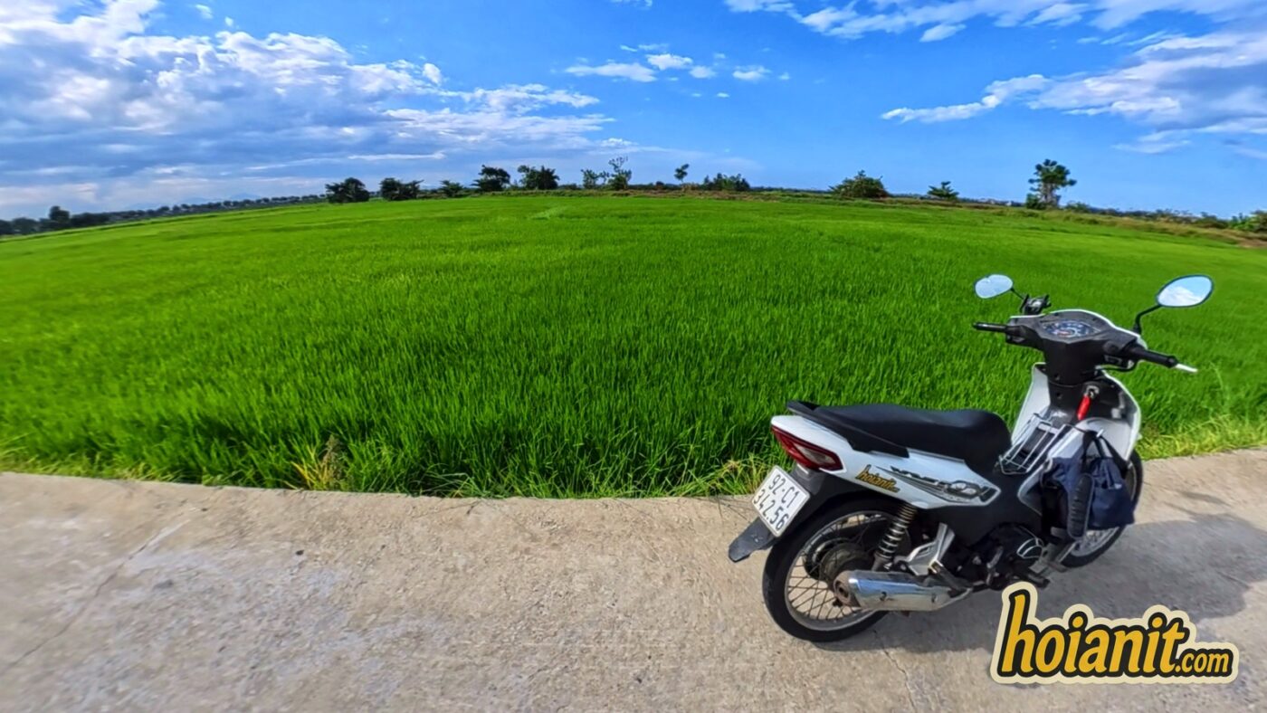scooter parked rice field hoi an countryside Semi-automatic motorbike parked beside green rice fields, the kind of valley riding a Cao Bang motorbike rental opens up