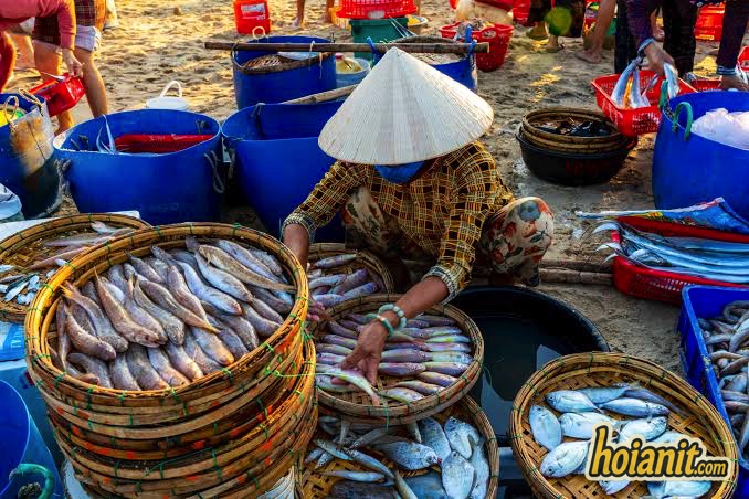 tam tien2 A trader in a conical hat sorting fish into bamboo baskets at Tam Tien fish market