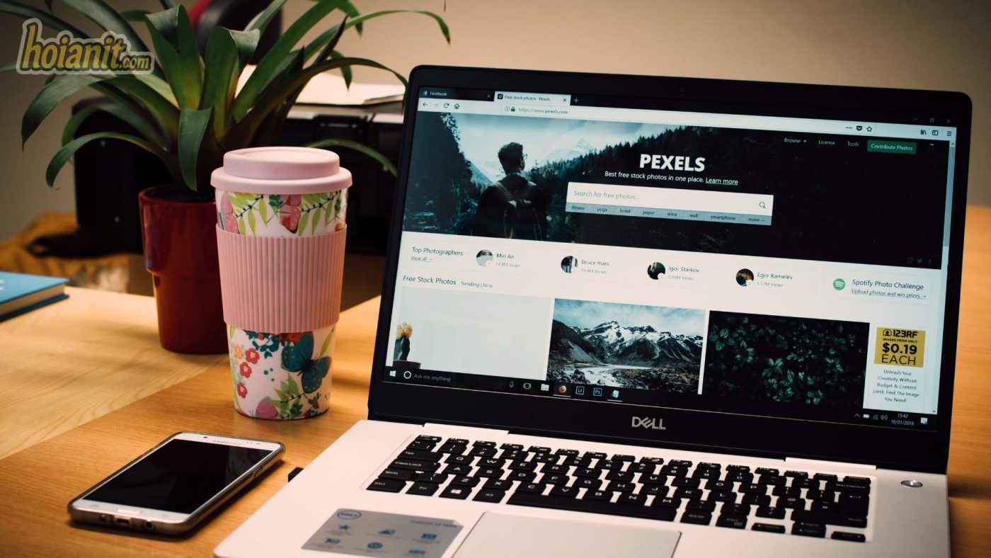 thiết kế website hội an