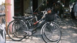 Xe Đạp Cho Thuê