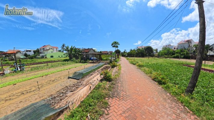 Làng Rau Trà Quế