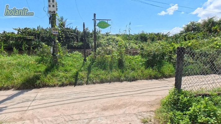 Tra Que Vegetable Village Hoi An