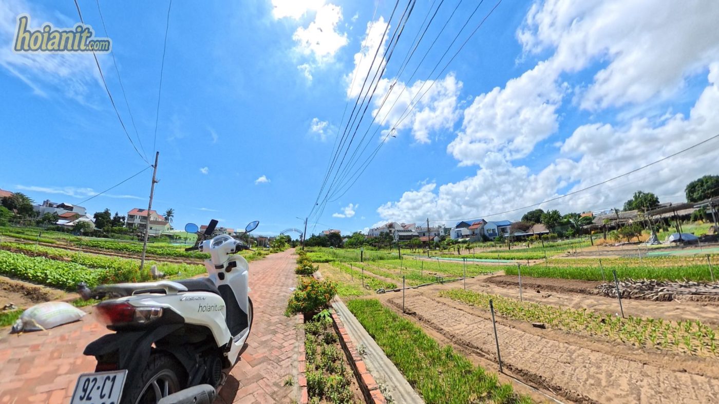 Tra Que Vegetable Village Hoi An